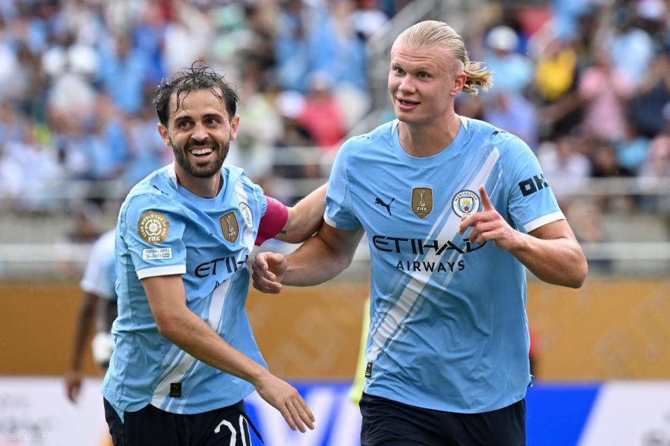 胆的镜头语 胆的镜头语