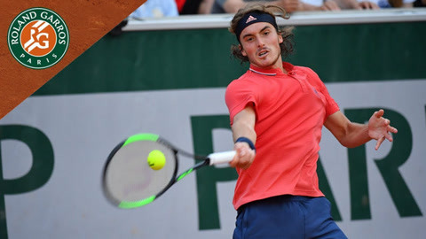 雄鹿的低位 雄鹿的低位